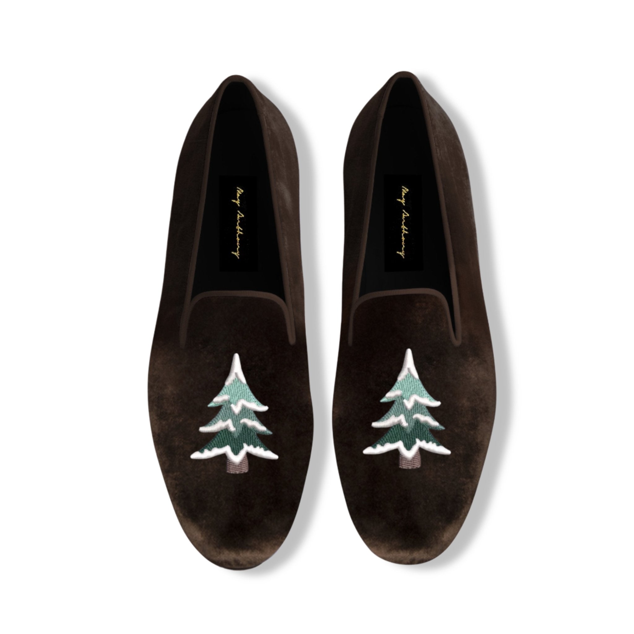 Conifer - May Anthony